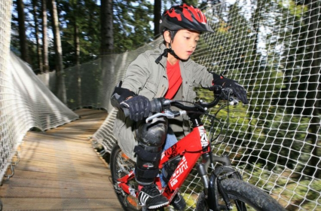  山地自行车租赁和极限课程 